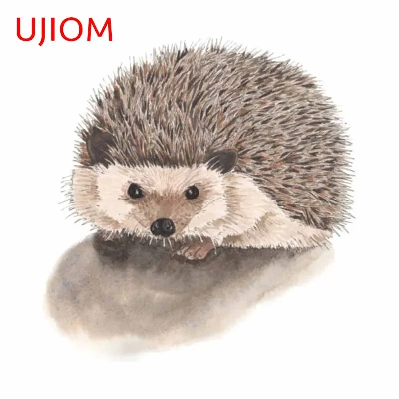 Baby Nursery Vinyl Wall Stickers - UJIOM 13cm divertente riccio carino adesivi